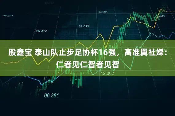 股鑫宝 泰山队止步足协杯16强，高准翼社媒：仁者见仁智者见智