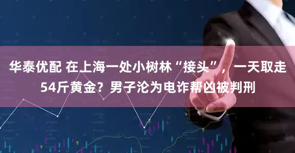 华泰优配 在上海一处小树林“接头”，一天取走54斤黄金？男子沦为电诈帮凶被判刑
