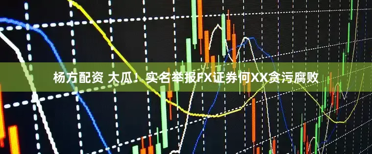 杨方配资 大瓜！实名举报FX证券何XX贪污腐败