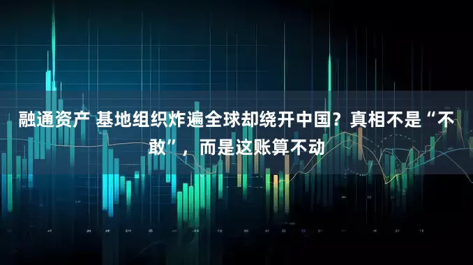 融通资产 基地组织炸遍全球却绕开中国？真相不是“不敢”，而是这账算不动